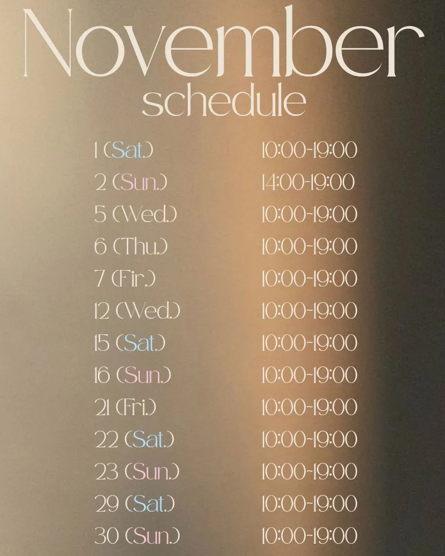 11月スケジュール